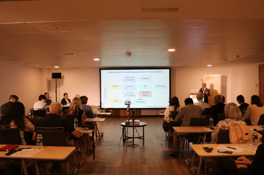 ELPA Pre-Summit on NAFLD – patient’ perspective meeting held on 26th September 2019 in Seville, Spain.